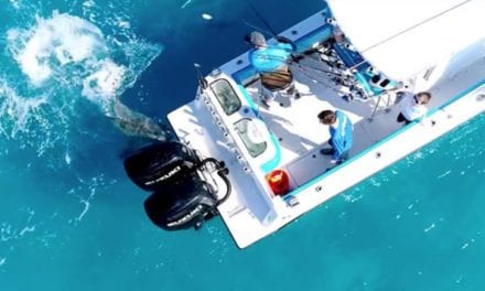 Drone Captures Crazy Boat Attack By Angry Bull Shark