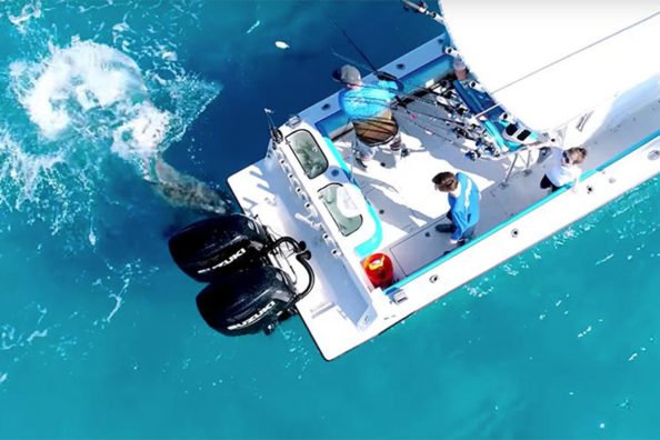 Drone Captures Crazy Boat Attack By Angry Bull Shark