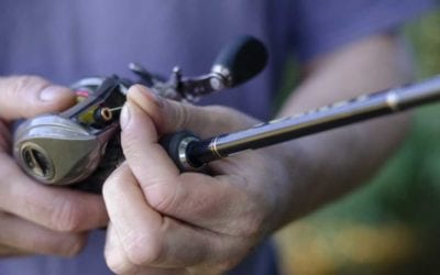 Finding the Best Fishing Line for Bass