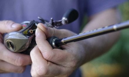 Finding the Best Fishing Line for Bass