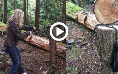 Get Amazon’s Best-Selling Pocket Chainsaw for $21