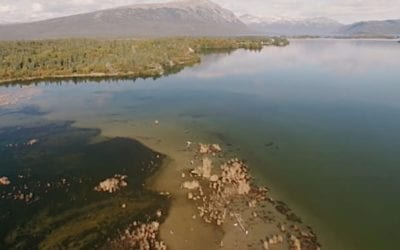 Iliamna Lake Monster: The Legend of Alaska’s 30-Foot Freshwater Mystery Fish