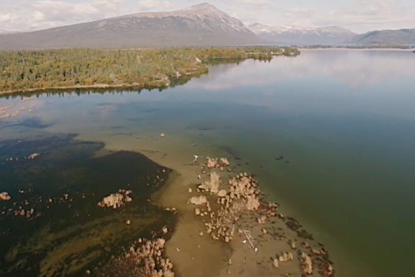 Iliamna Lake Monster: The Legend of Alaska’s 30-Foot Freshwater Mystery Fish