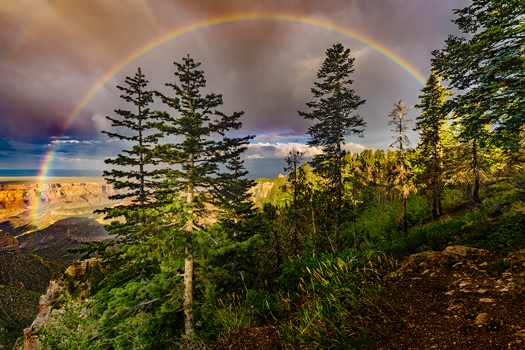 Photo of a rainbow after a lightning storm.