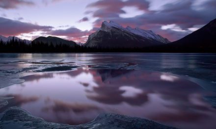 Liquid Reflections Assignment Winner Harry Lichtman