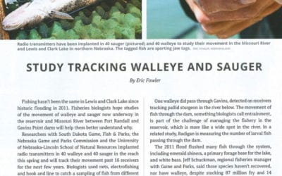 Missouri River Sauger and Walleye Tracking