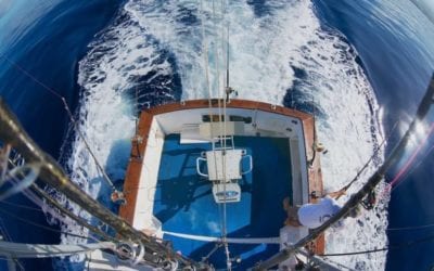 Modern Wildlife Conservationists Are Changing the Hunting and Fishing Worlds