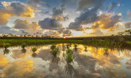 Photo Of The Day By Randy Traynor