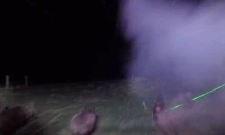 Texas Hunters Drop 70 Feral Hogs Using Lasers