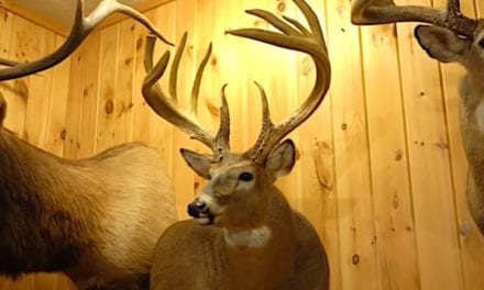 The Jordan Buck: The Puzzling Mystery of a World Record Whitetail’s 50-Year Disappearance