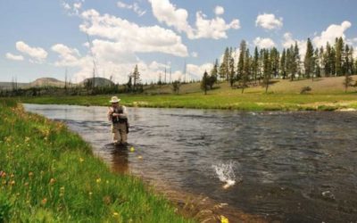 15 Best Fishing Vests of 2021 for Fly Fishing and Kayak Fishing