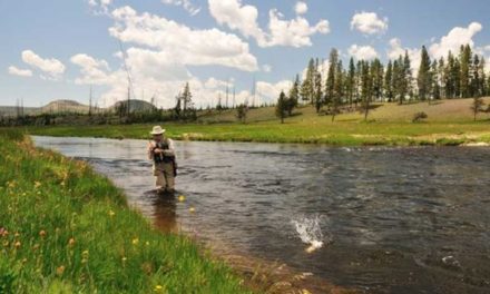 15 Best Fishing Vests of 2021 for Fly Fishing and Kayak Fishing