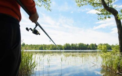 3 Fishing Tactics to Try Before the Summer Season’s Through