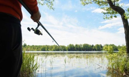 3 Fishing Tactics to Try Before the Summer Season’s Through