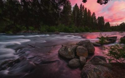 6 Bucket List Steelhead Fishing Destinations