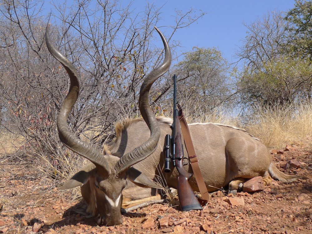 Here's How Much An African hunting Safari Costs kudu