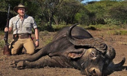 African Hunting Safaris Don’t Cost as Much as You Think