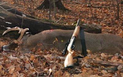 Deer Hunting with Shotguns: The Legalities, Trends, and Efficacy