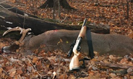 Deer Hunting with Shotguns: The Legalities, Trends, and Efficacy