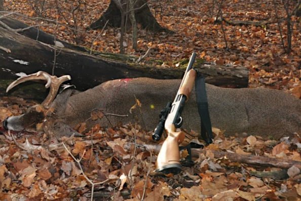 Deer Hunting with Shotguns: The Legalities, Trends, and Efficacy