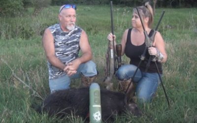 Feral Hog Immediately Responds to Perfect Call