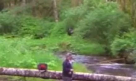 Fisherman Captures Suspicious Footage, Bigfoot Theories Follow