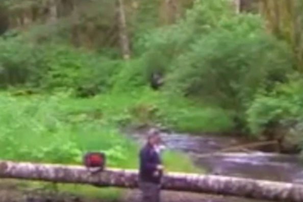 Fisherman Captures Suspicious Footage, Bigfoot Theories Follow