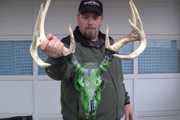 How to Dip a Deer Skull With Spray Paint