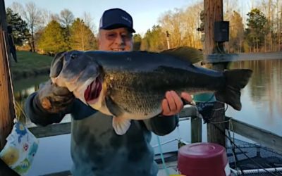 Man Grabs Monster, 16-Pound Bass Off Dock By Hand