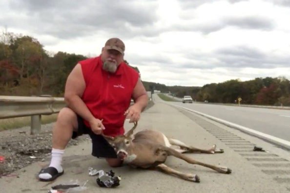 Man Thanks Fictional Hunting Sponsors After Hitting Buck With His Car