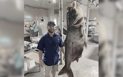 Missouri Angler Harvests 125-Pound World Record Bighead Carp While Bowfishing