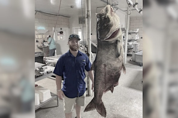 Missouri Angler Harvests 125-Pound World Record Bighead Carp While Bowfishing