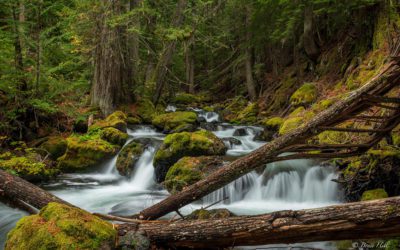 Photo Of The Day By Bryce Hill