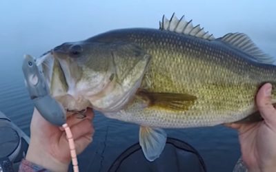 Rat Fishing Lure Proves Extremely Effective on Big Largemouth Bass