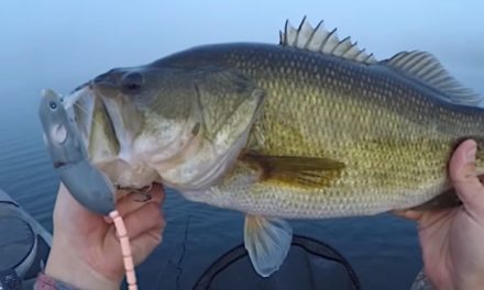 Rat Fishing Lure Proves Extremely Effective on Big Largemouth Bass