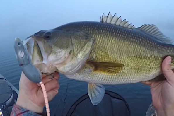 Rat Fishing Lure Proves Extremely Effective on Big Largemouth Bass