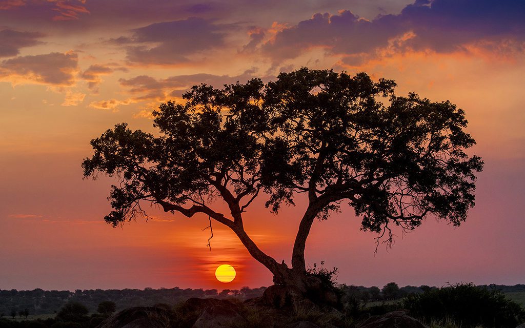 Shooting The Sun On The Horizon Line