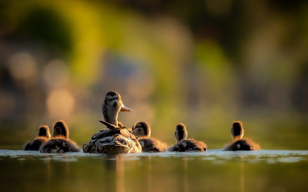 Sidelight Assignment Winner Christopher Baker