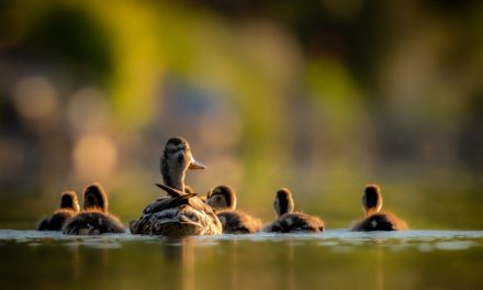 Sidelight Assignment Winner Christopher Baker