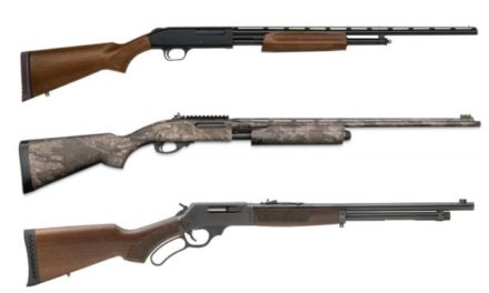 The 8 Best .410 Shotguns for Hunting and More