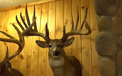 The General: The Giant Nebraska Whitetail That Was Larger Than the Rompola Buck