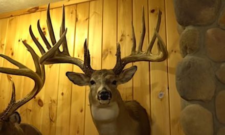 The General: The Giant Nebraska Whitetail That Was Larger Than the Rompola Buck