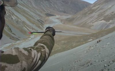 Tim Wells Makes a 130-Yard Bow Shot on a Running Tahr