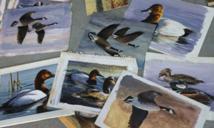 U.S. Fish and Wildlife Service Removes Hunting Theme Mandate for Annual Duck Stamp Art Contest