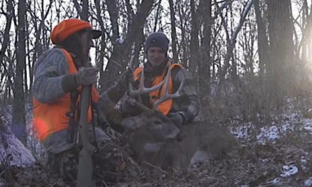 What is a Deer Drive? A Guide for New Hunters for This Popular Technique