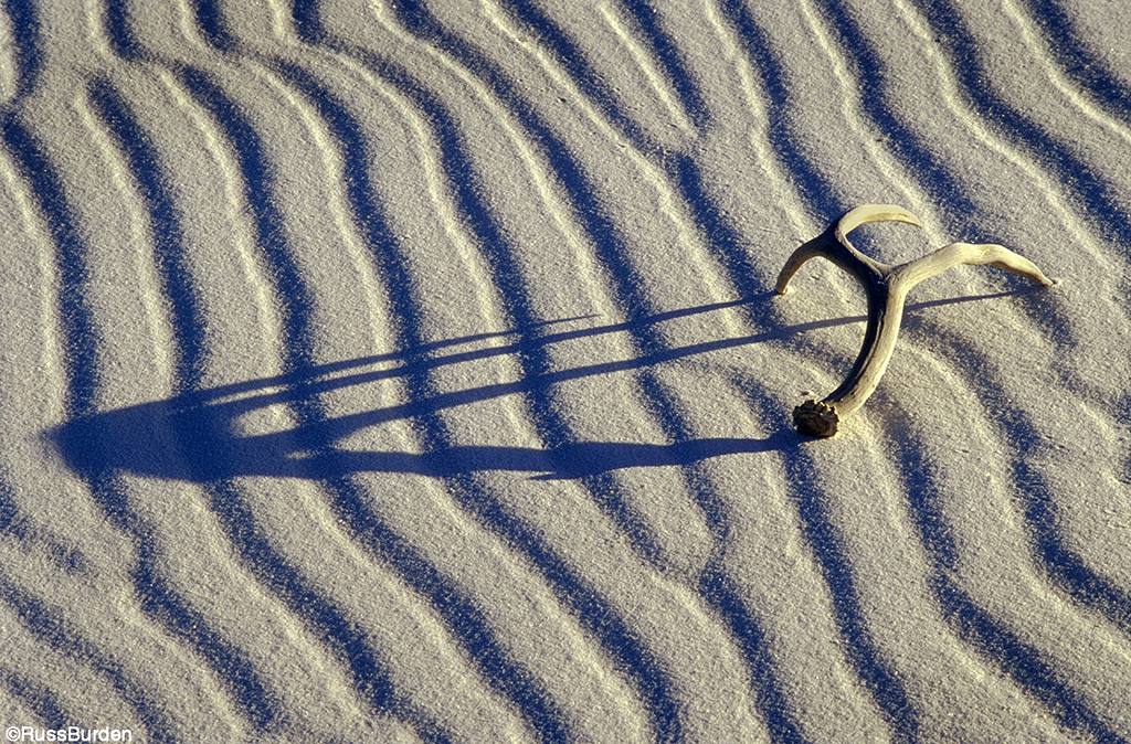 Working with shadows in photography