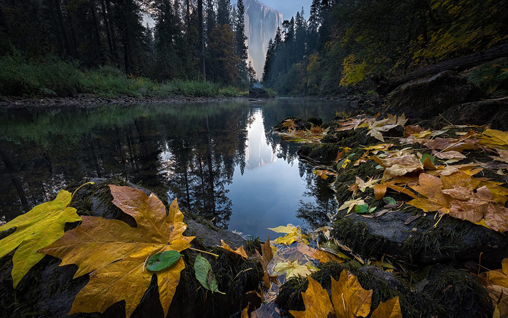 Worm’s Eye View Assignment Winner Kris Walkowski