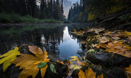 Worm’s Eye View Assignment Winner Kris Walkowski