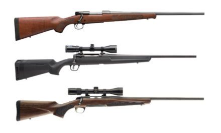 10 of the Best .243 Winchester Rifles for Deer and Varmint Hunting