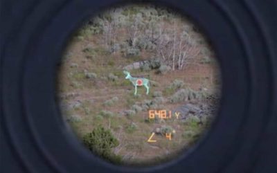 4 Best Rangefinders for Gun Hunters